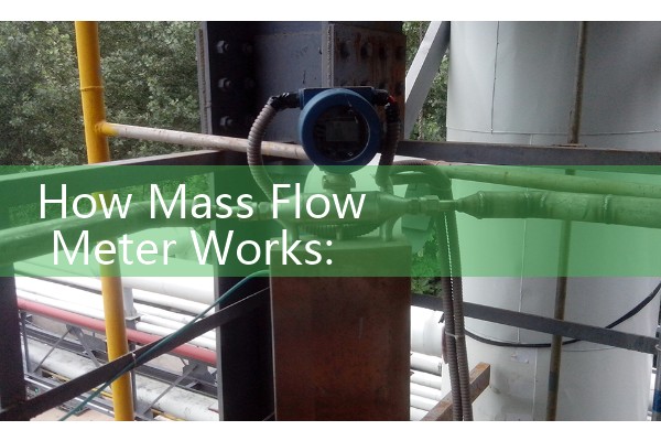 How Mass Flow Meter Works: True Density and Temperature Multi-Variable Output