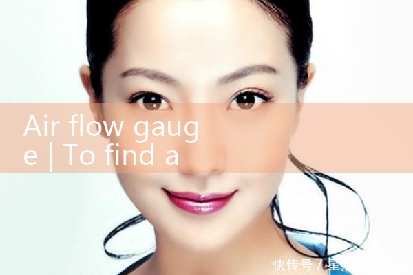 air flow gauge|rotameter flow meter