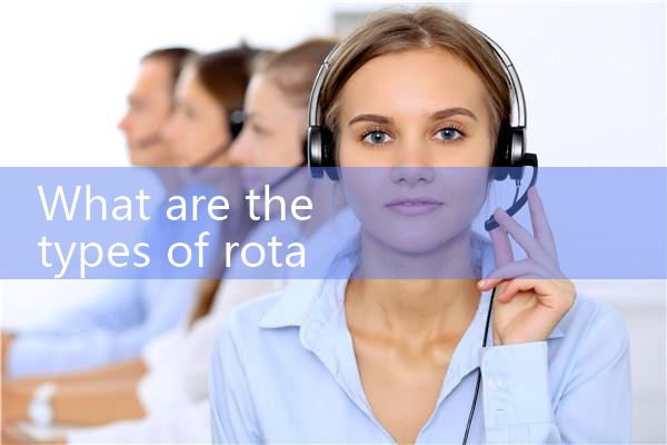 rotameter|thermal flow meter