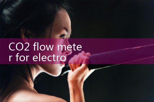CO2 flow meter for electronics|thermal flow meter