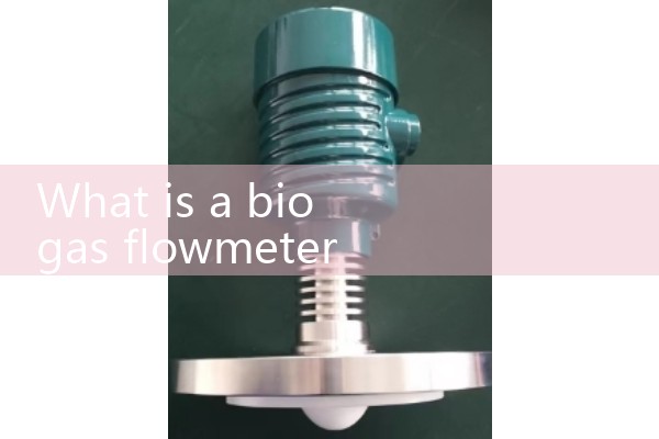 Automotive air flow meter