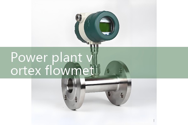 Power plant vortex flowmeter