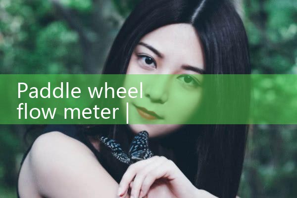 paddle wheel flow meter|thermal flow meter