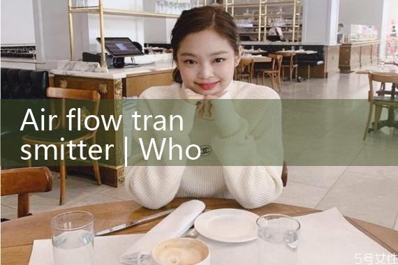 air flow transmitter|rotameter flow meter
