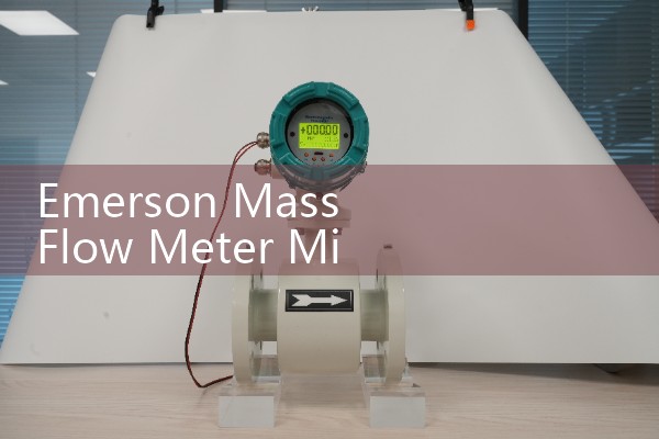 Emerson Mass Flow Meter Micro Motion Technology: The Industry Standard for Coriolis Meters