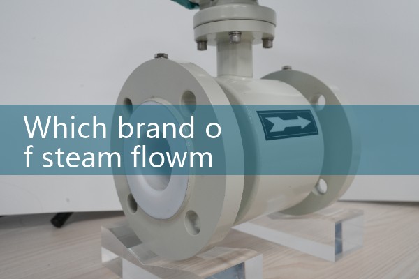 Mass flow meter for steam