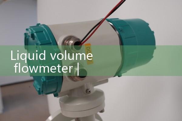 Rotary turbine steam flowmeter