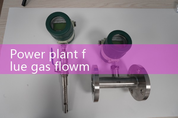 Power plant flue gas flowmeter