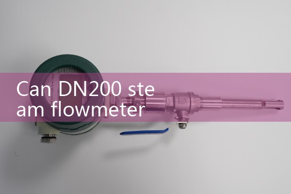 DN200 steam flowmeter