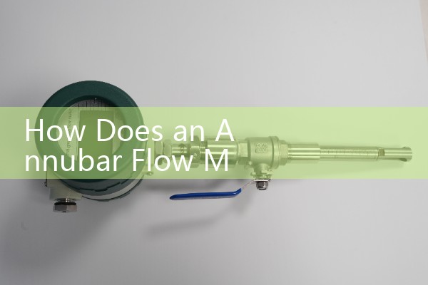 How Does an Annubar Flow Meter Work: Averaging Pitot Tube System Design
