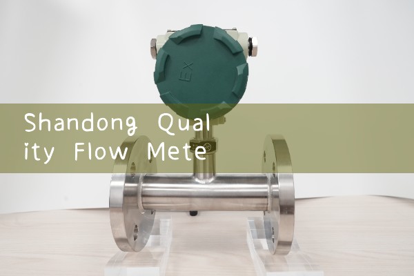 Shandong Quality Flow Meter Professional Manufacturer