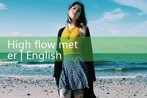 high flow meter|rotameter flow meter