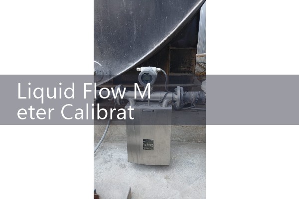 Flow meter maintenance
