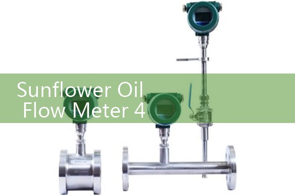 Mass flow meter gas