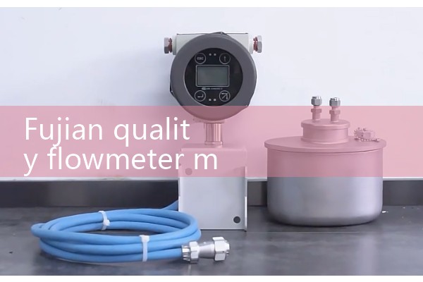 Fujian quality flowmeter manufacturer quotation